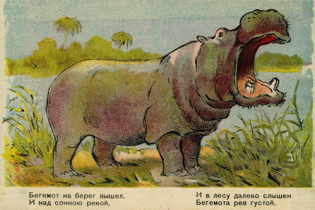 Худенький Бегемот