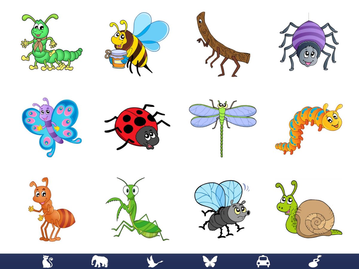 Насекомые для дошкольников