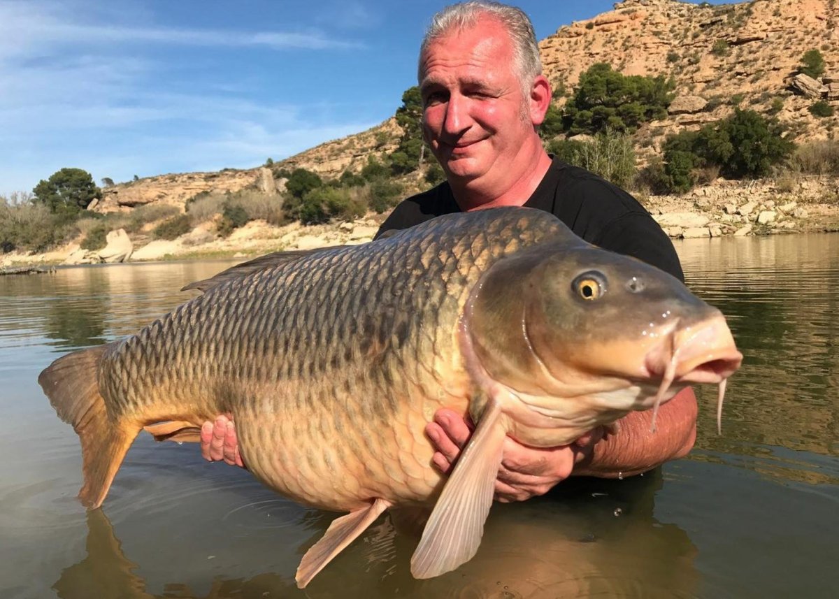 Сазан рекорд