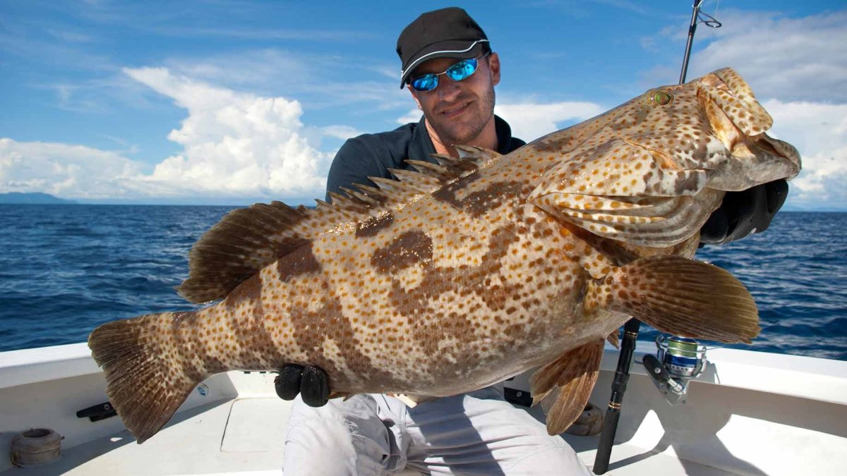 Рыба большая