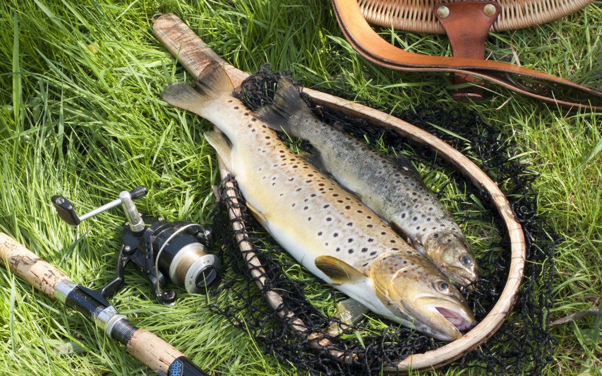 Местная Крымская рыба