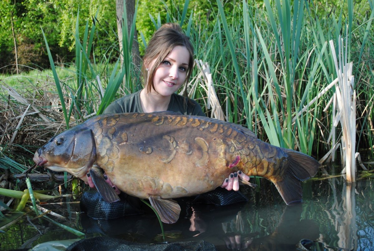 Огромная рыба