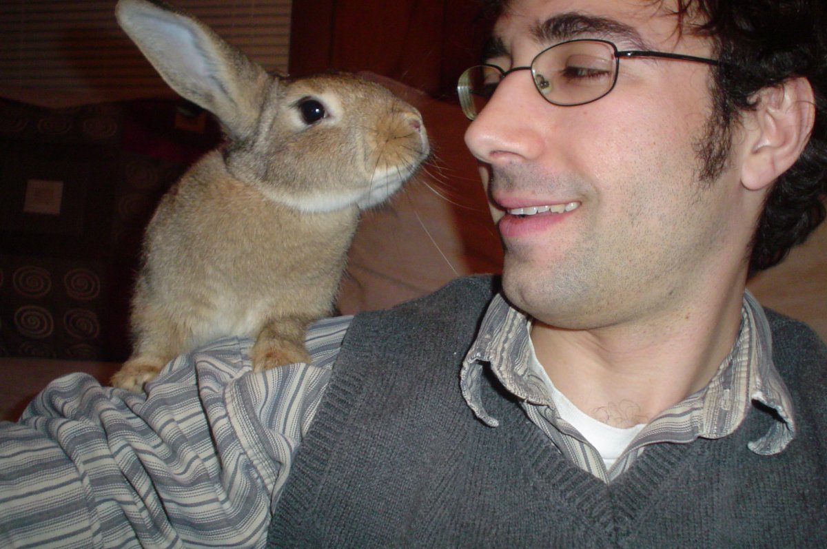 Кролик декоративный с хозяином