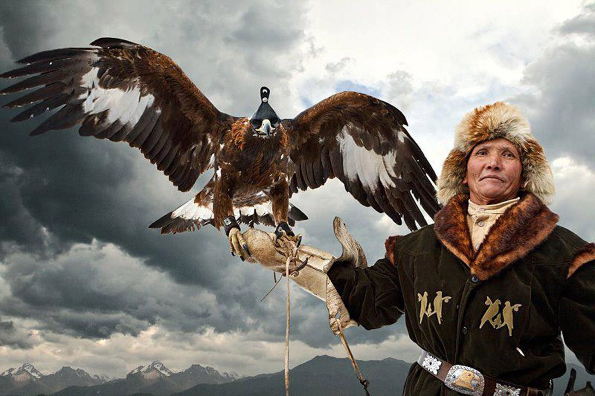 Символ Монголии птица