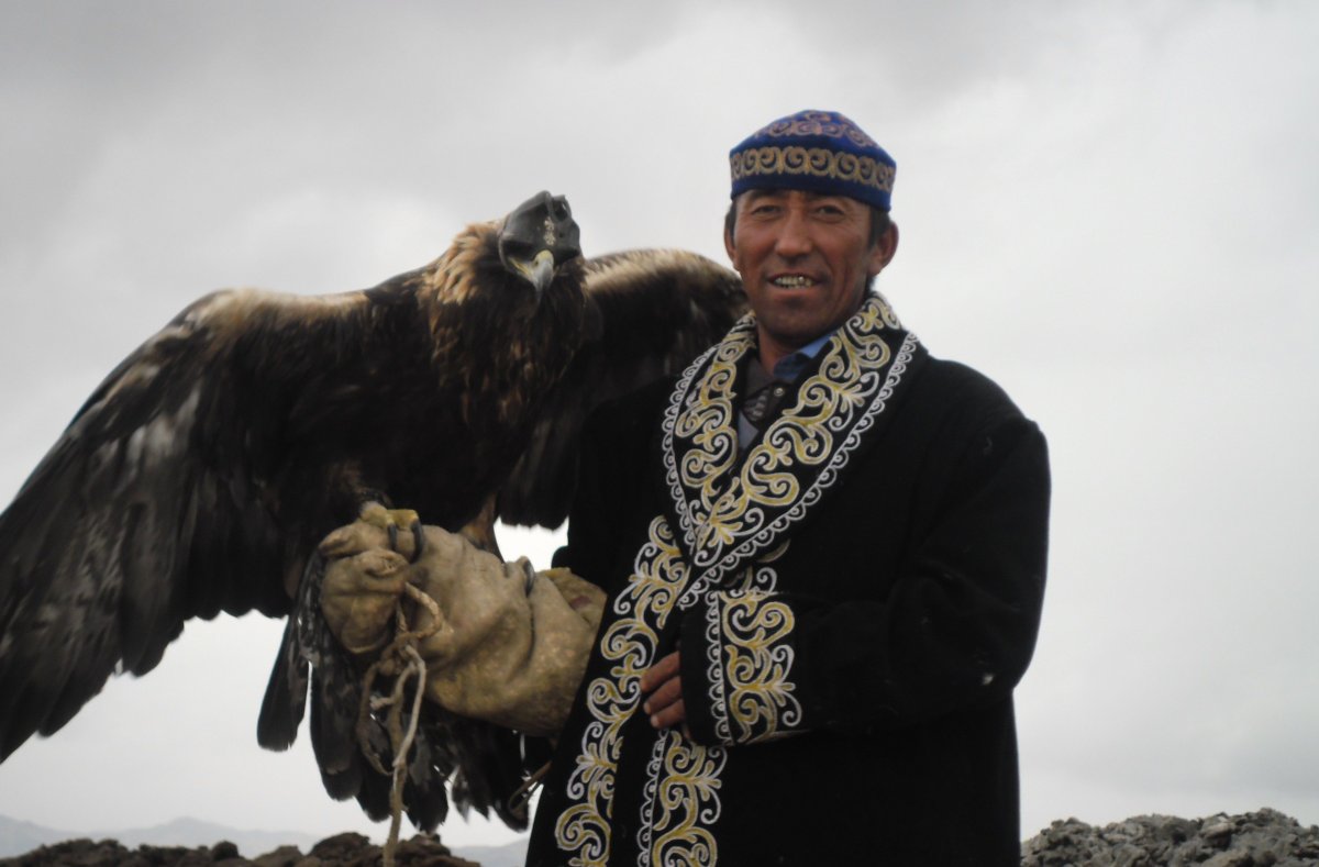 Орел гарпии самый большой Орел в мире