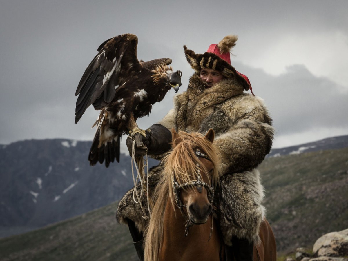 Гарпия Орел с человеком