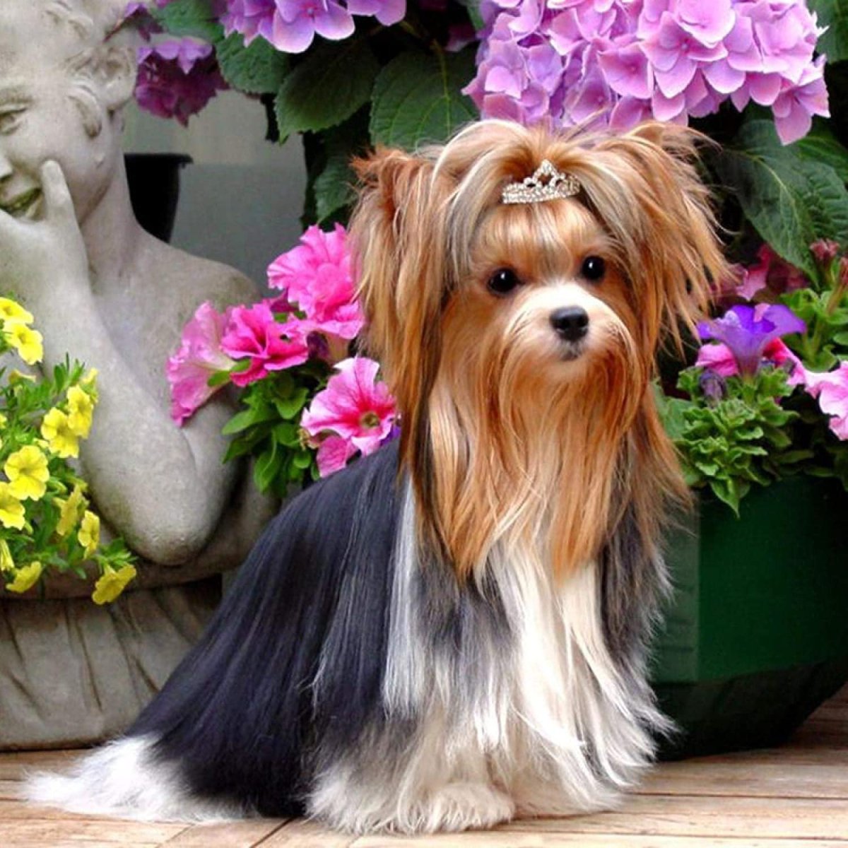 Йорик Бибер