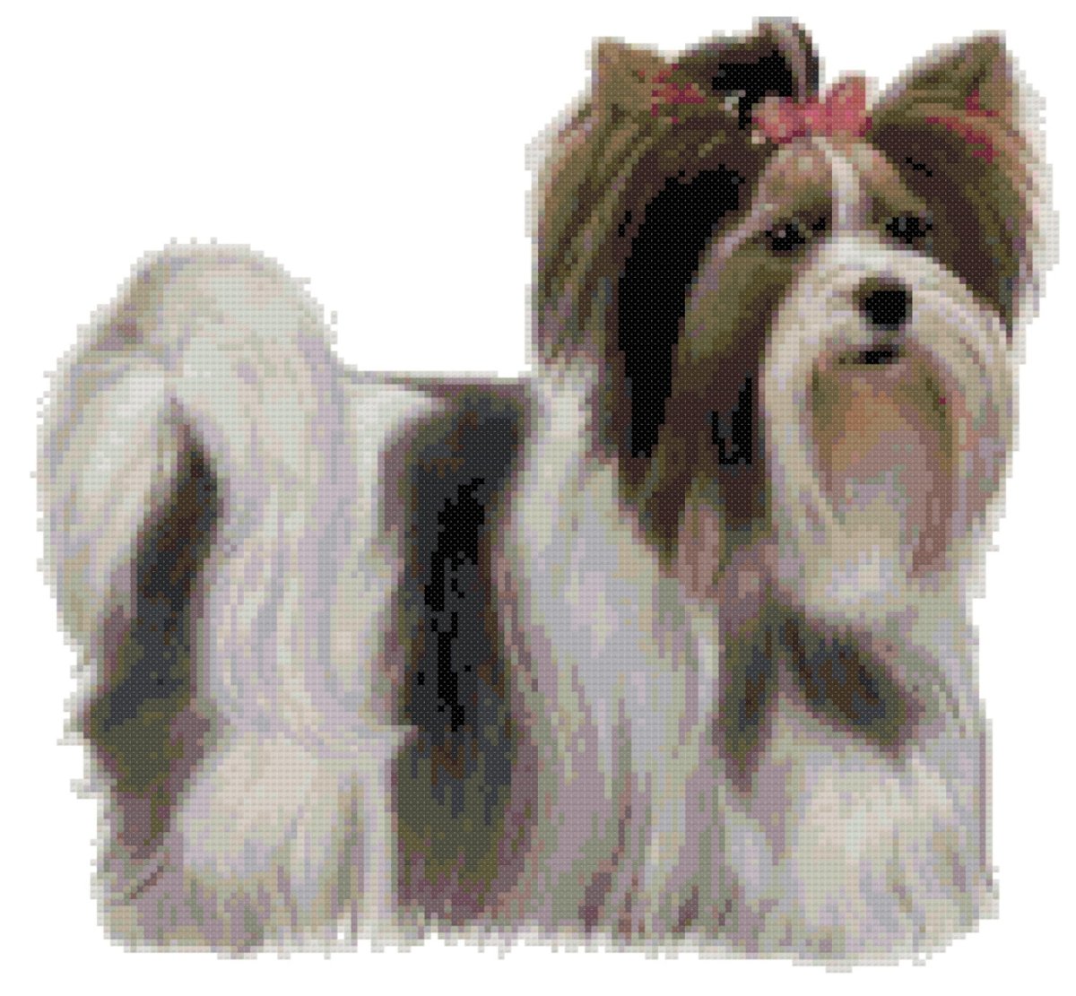 Бивер-Йоркширский терьер подстриженный