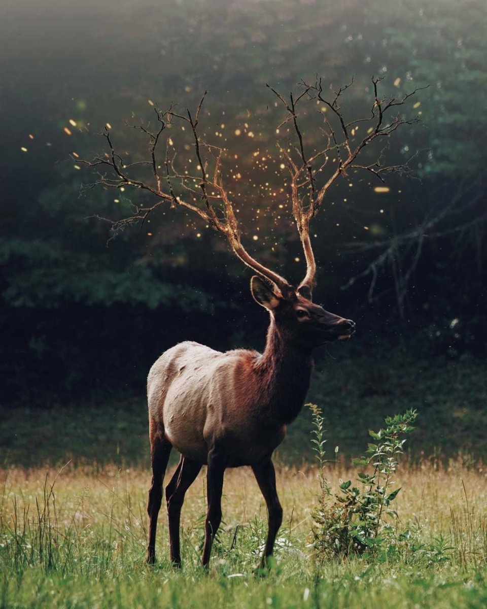 Гордый олень