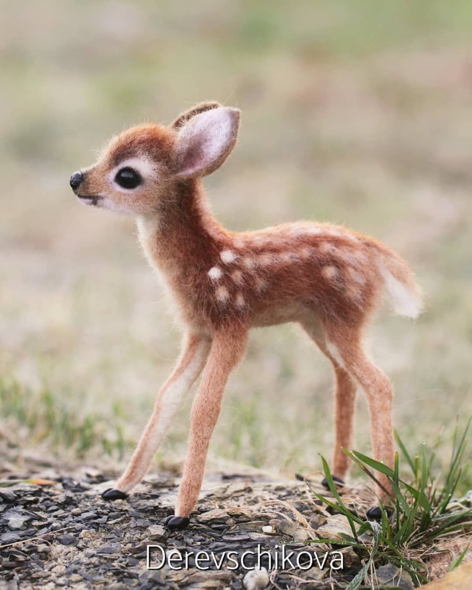 Неблюй Олененок