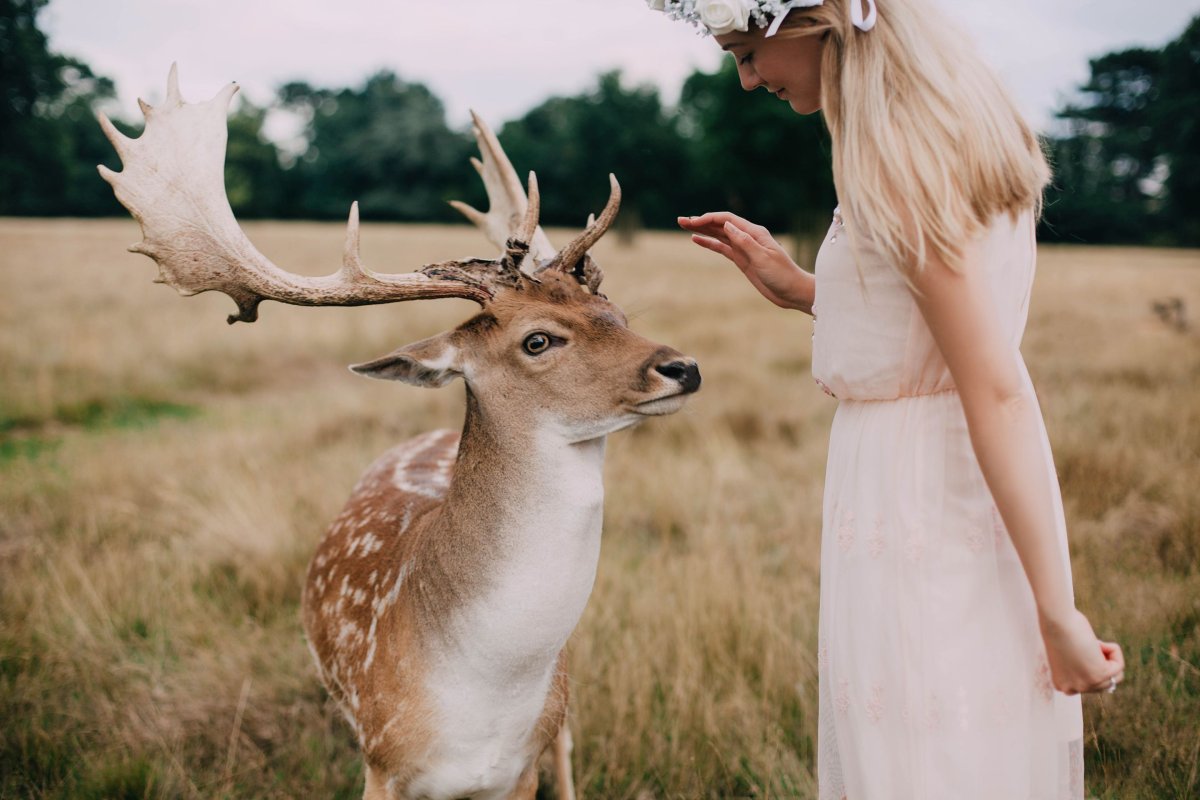 Фотосессия с оленями летом