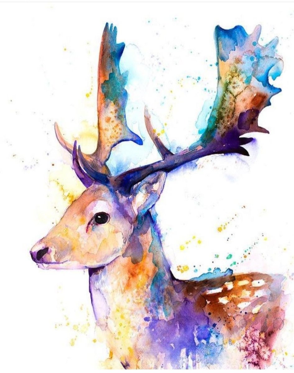 Разноцветный олень