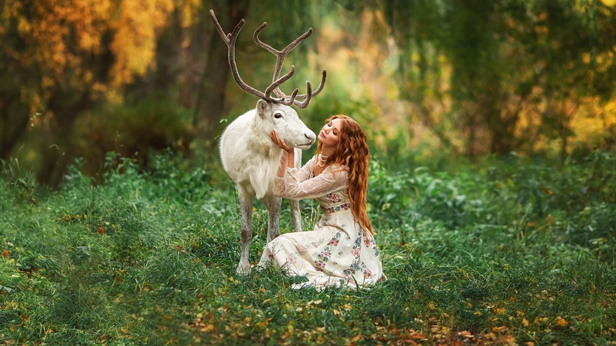 Фотосессия с оленем