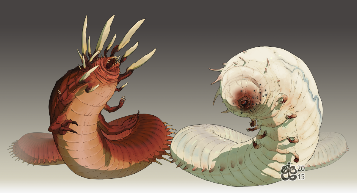 Капустница Жук медведка