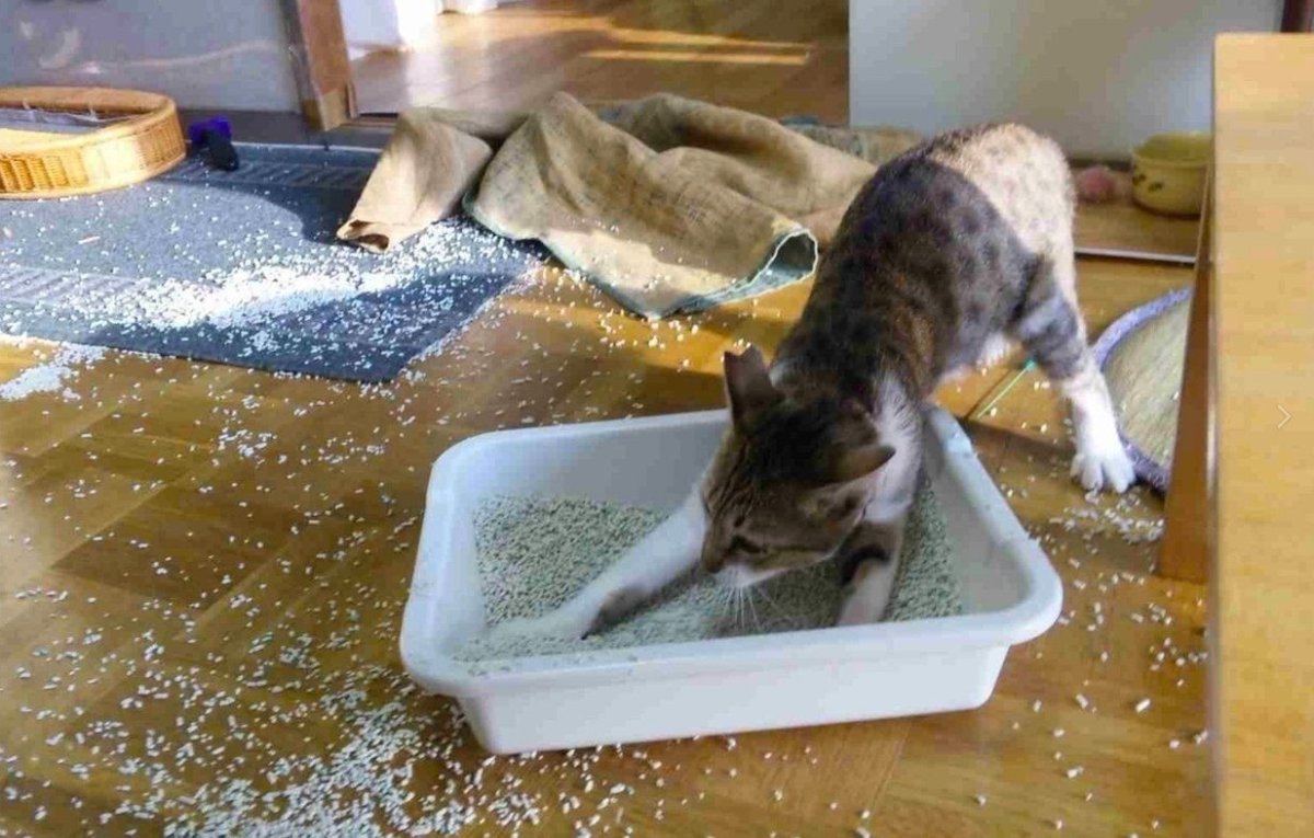 Смешные картинки с надписями до слёз