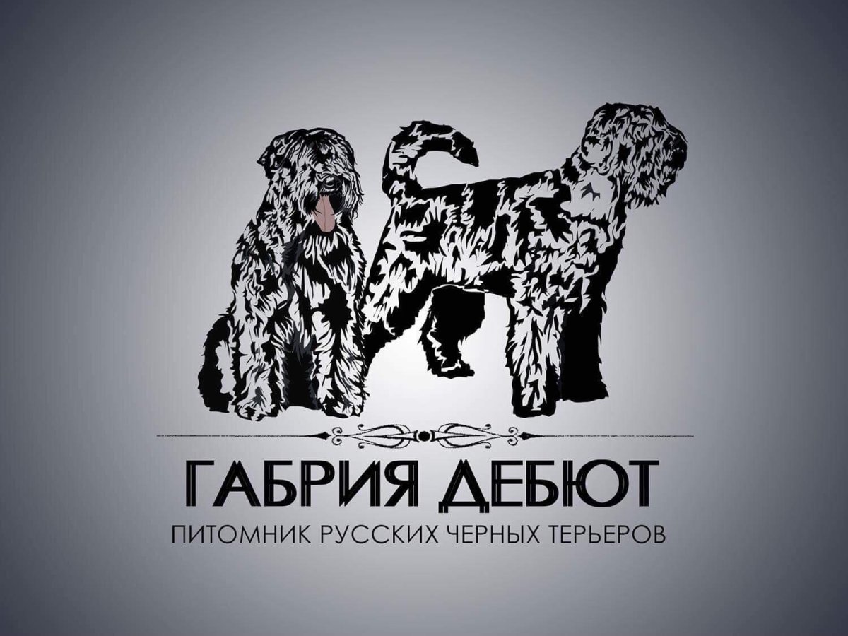 Домашние питомцы