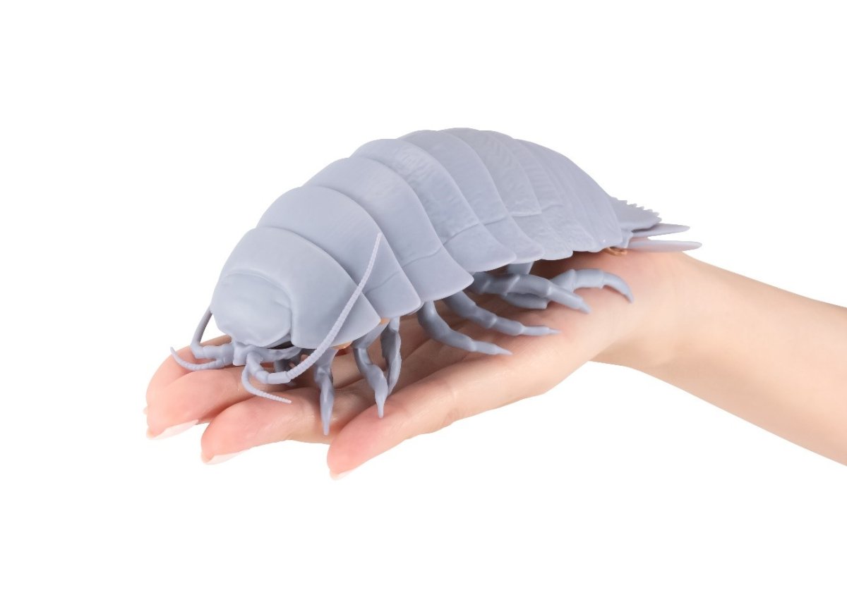 Изопод референс