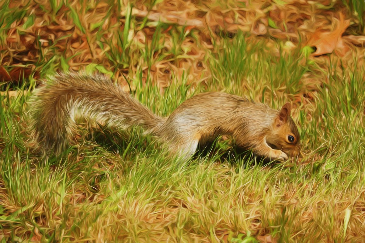 Мелкий зверек с пушистым хвостом