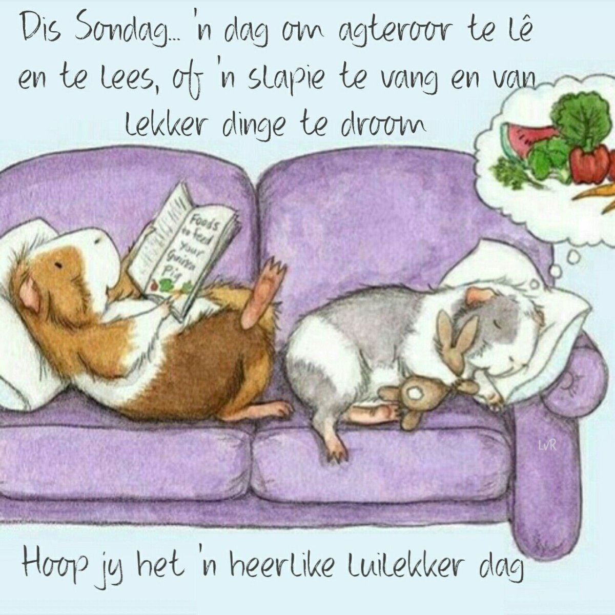 Морда свиньи