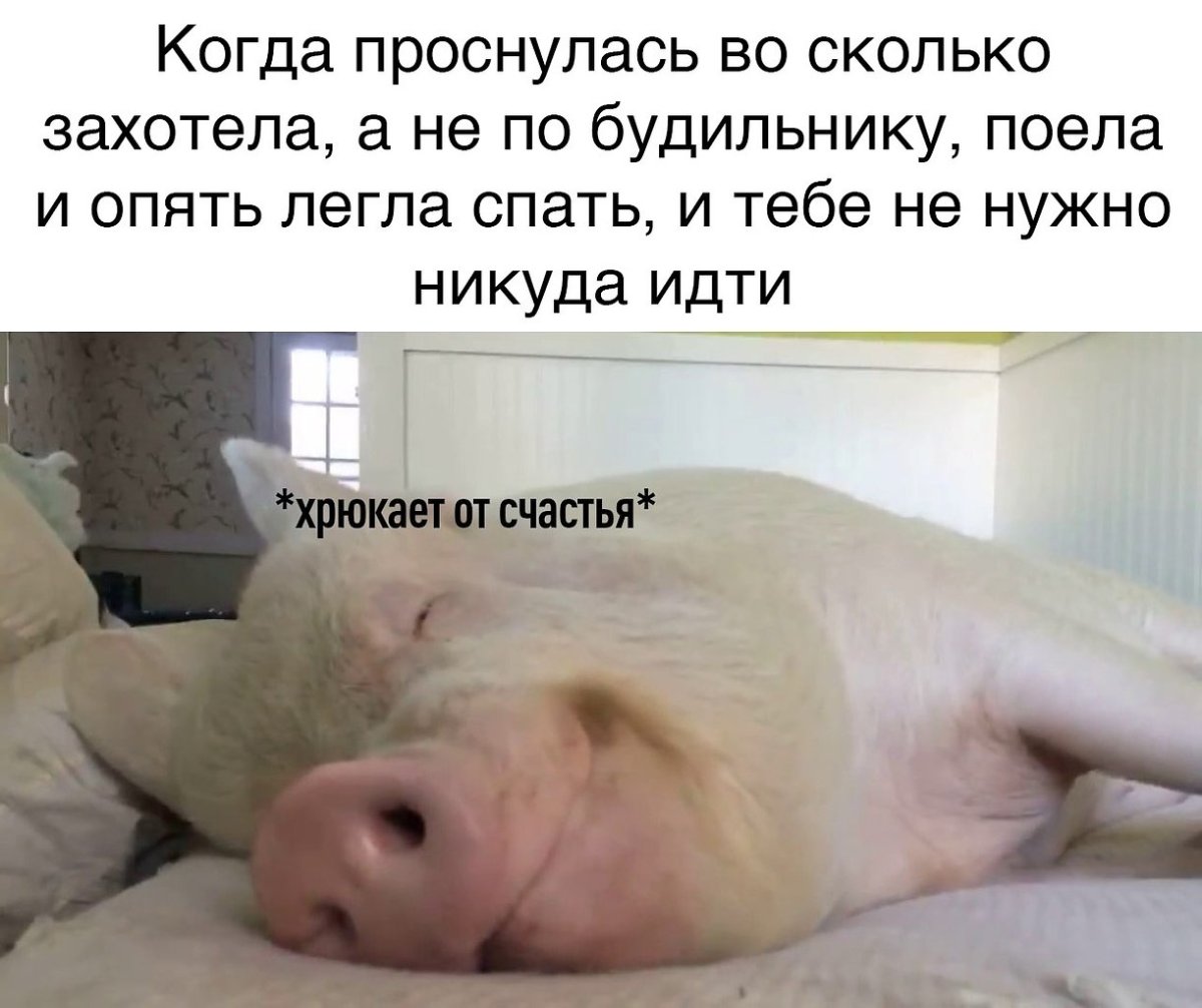 Мини Пигги Свинка