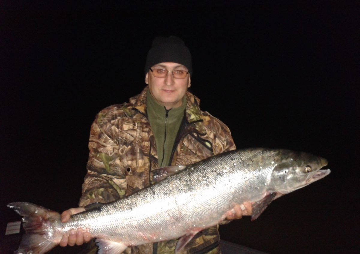 Река Печора рыбалка