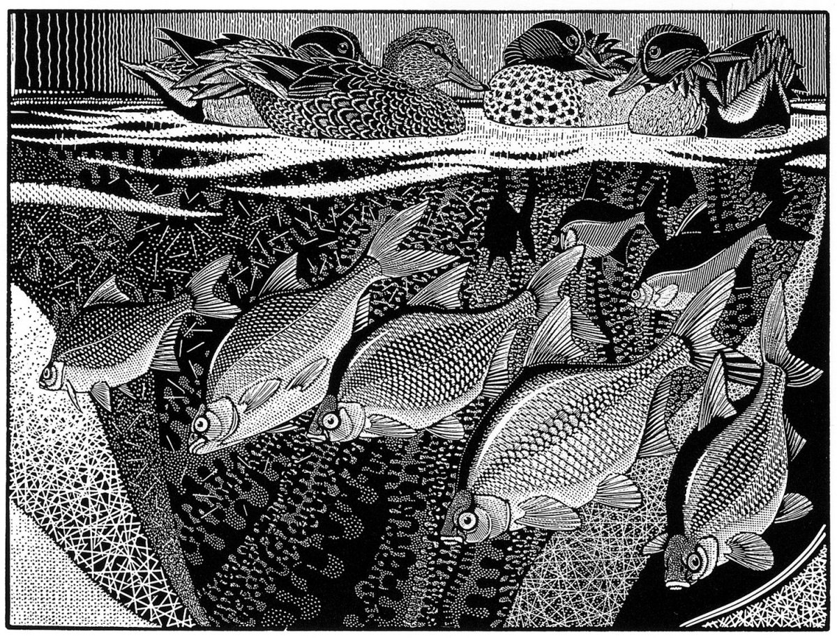 Colin see Paynton художник