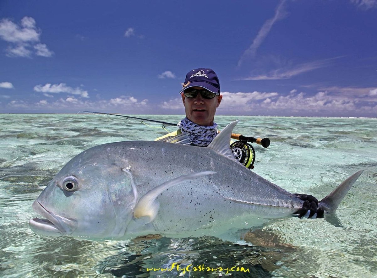 Золотистый пагр рыба