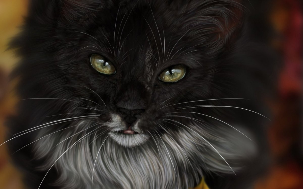 Чёрный кот арт