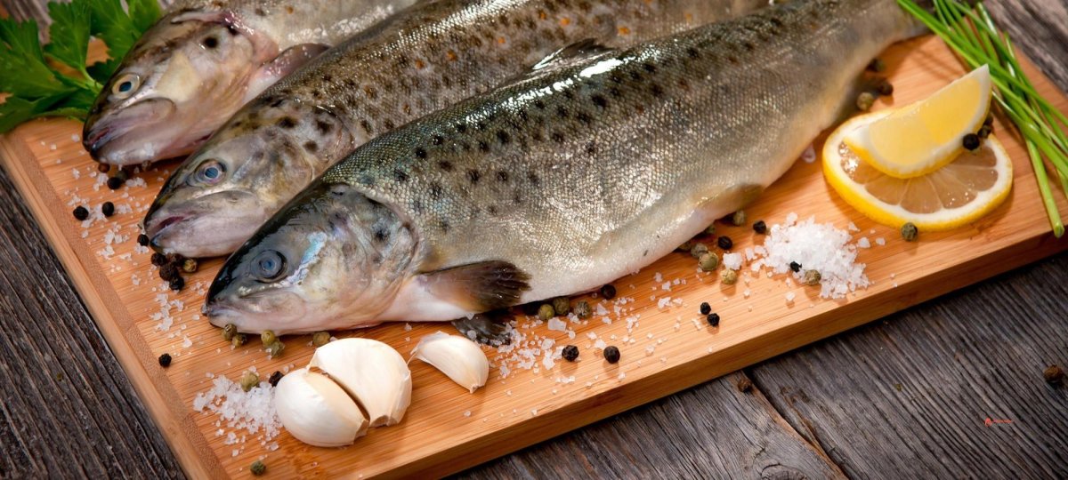 Форель и осетр