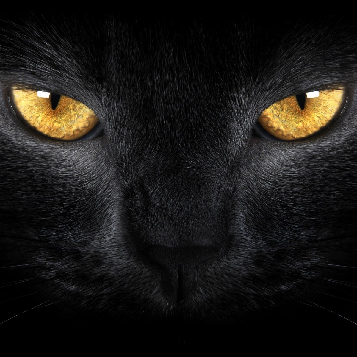 Телевизор 40" TCL led40d2910