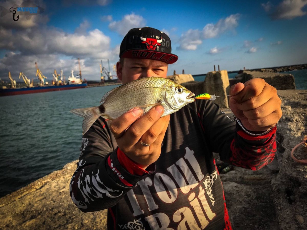 Свежая рыба на белом фоне