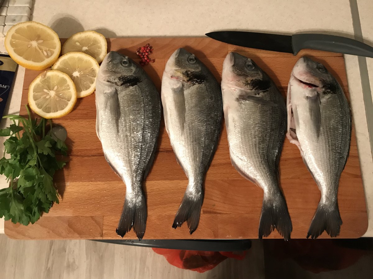 Ласкирь Черноморский