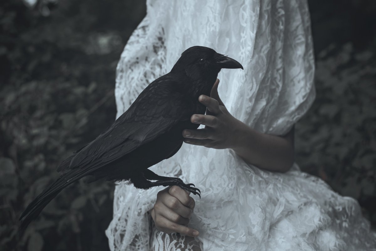 Ворон Ханна Фрост