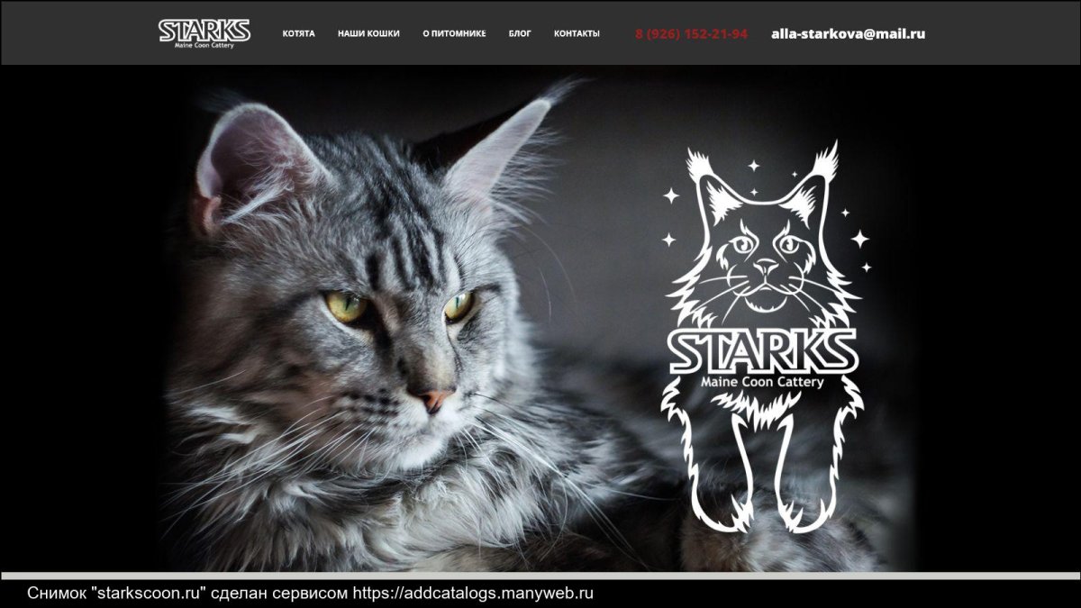 Мейн кун в шляпе