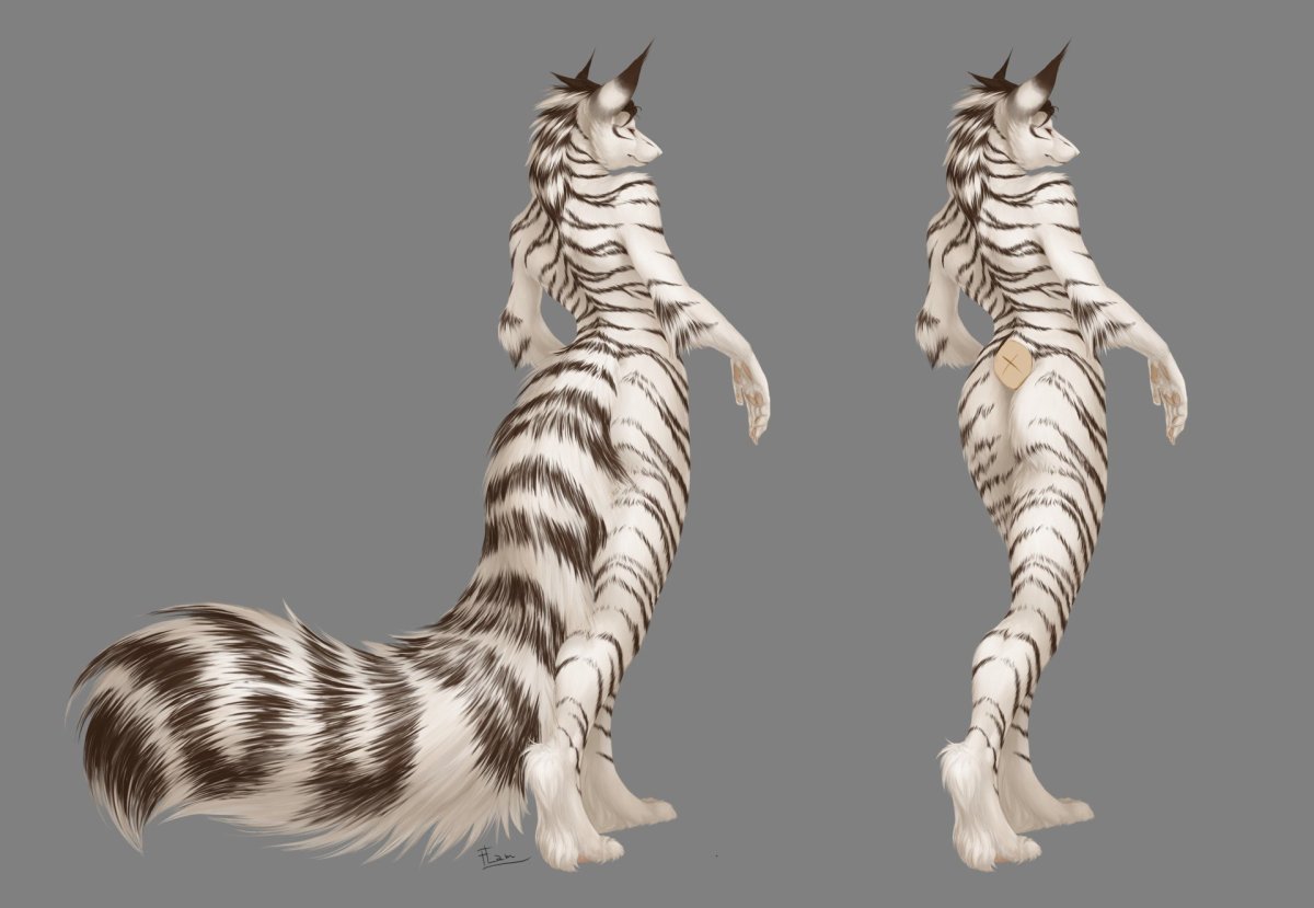 Скелеты с котами