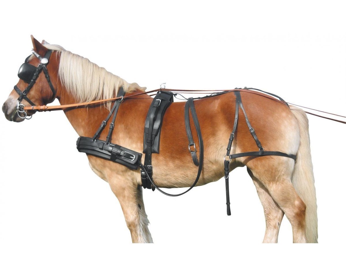 Упряжь Пароконная