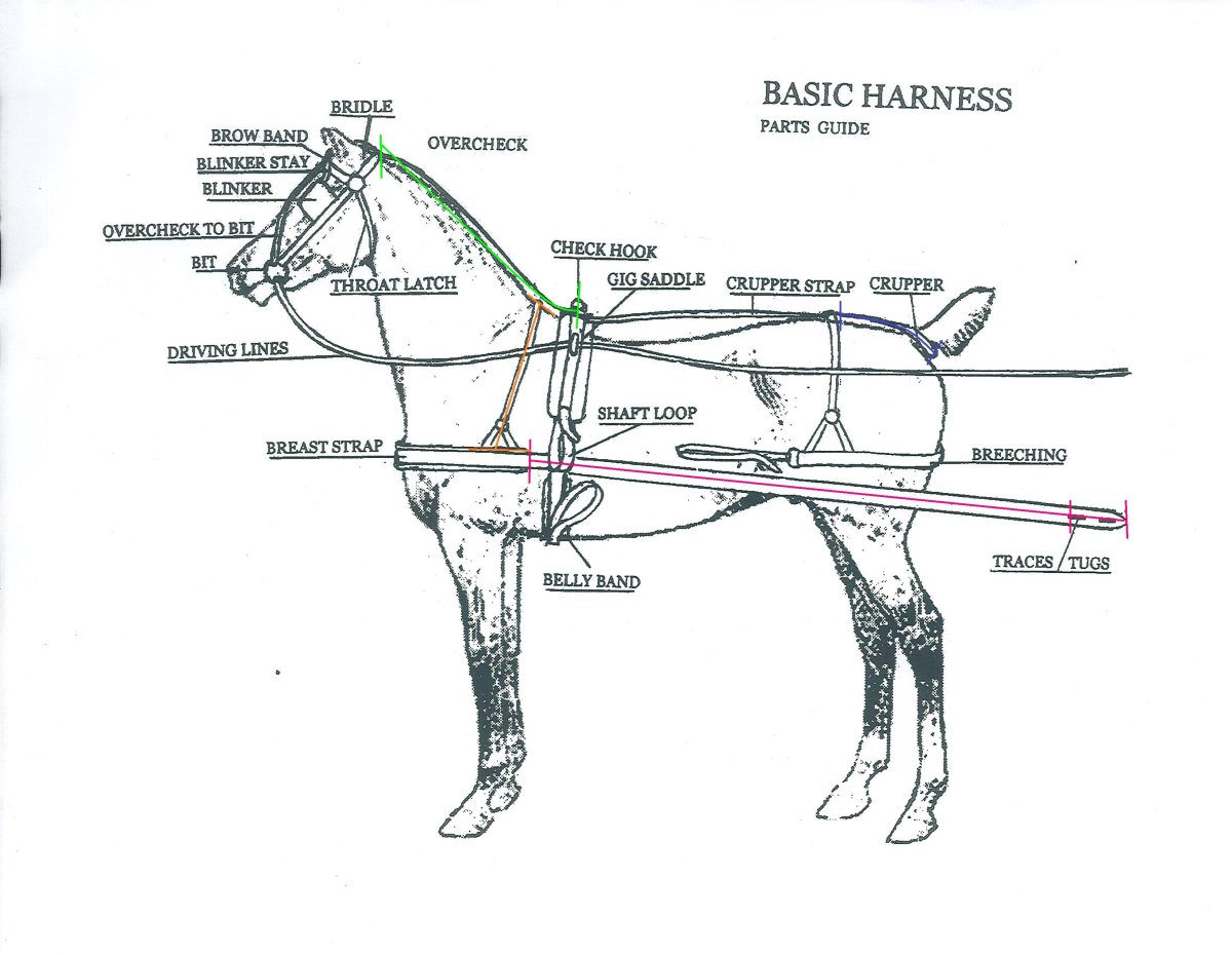 Европейская упряжь для лошади схема