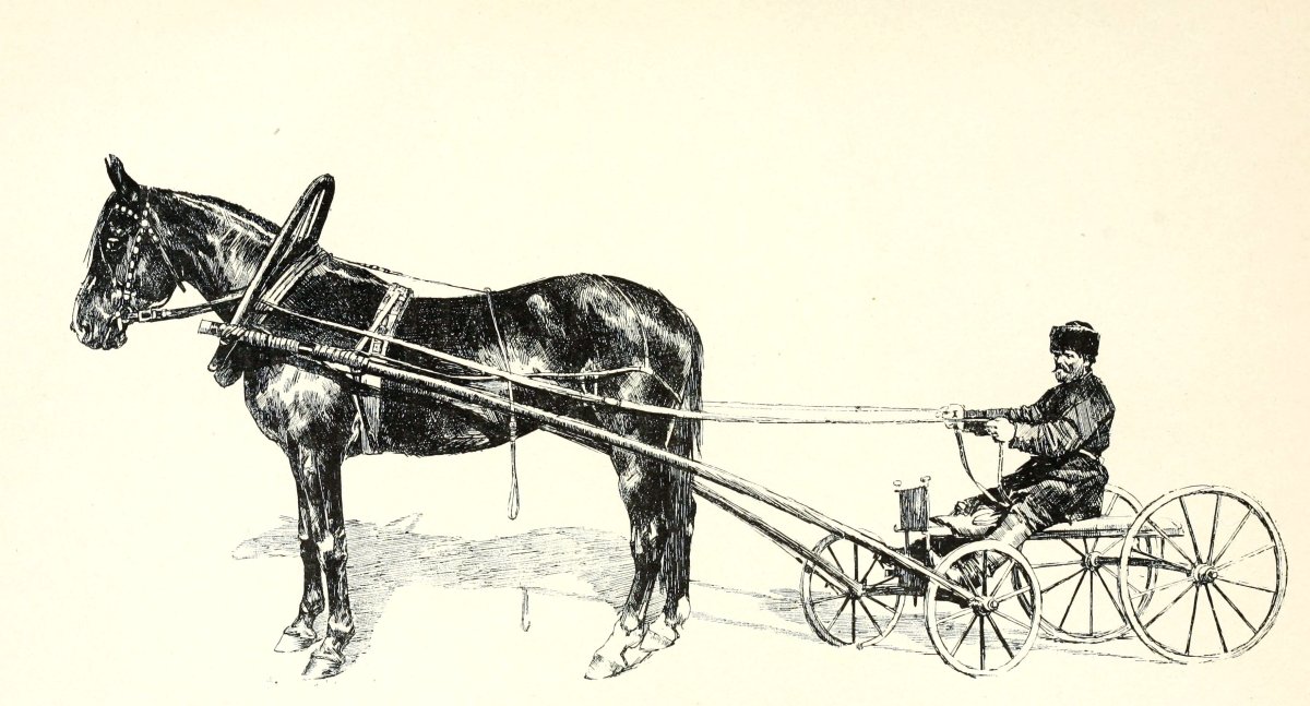 Упряжка лошадей 19 век