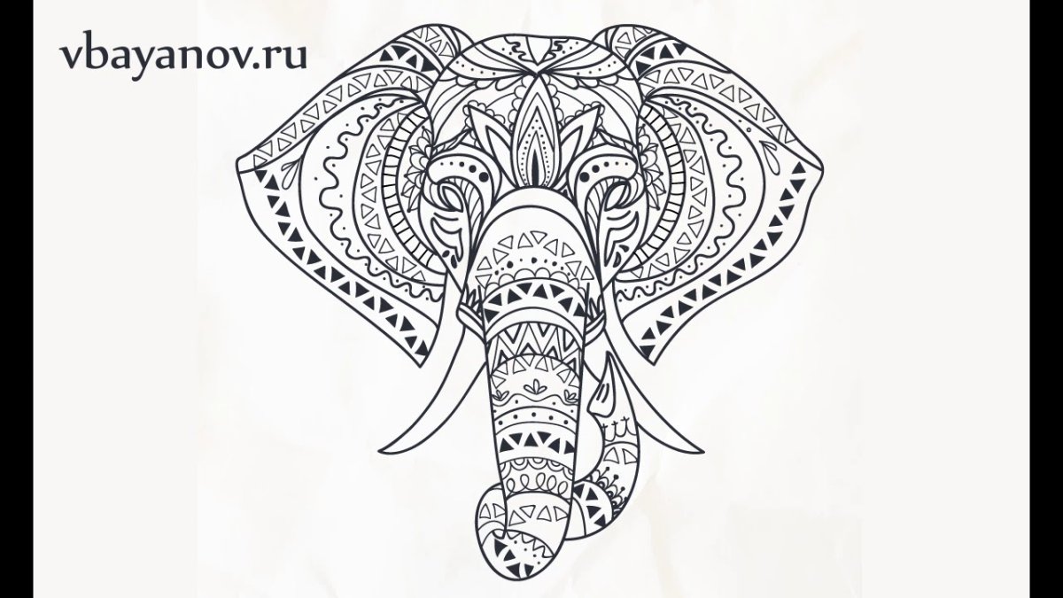 Слоны в природе