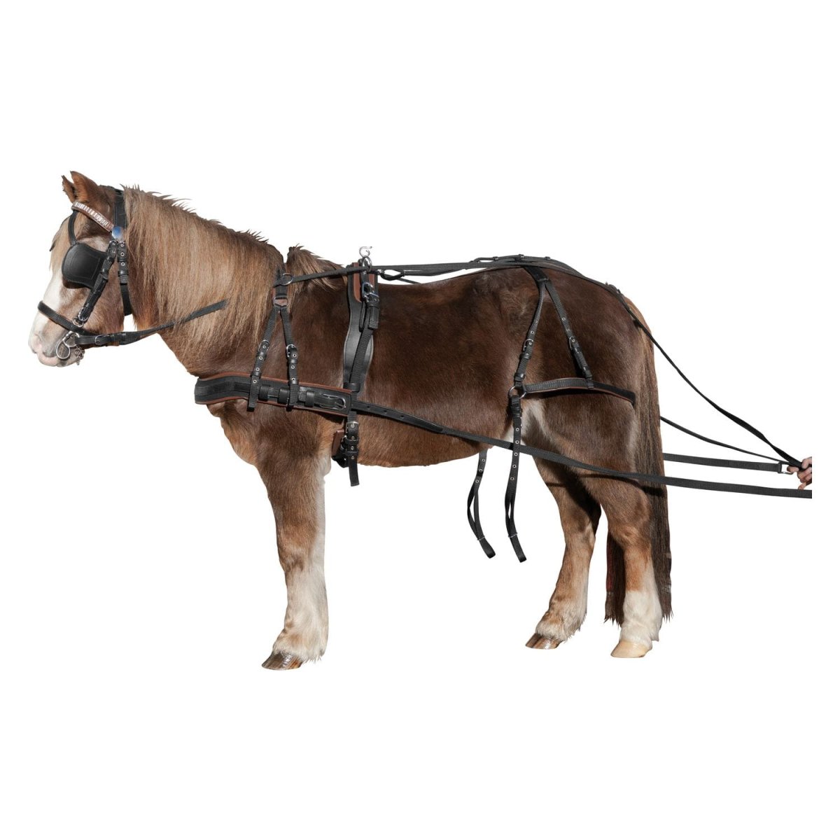 Бездуговая одноконная упряжь