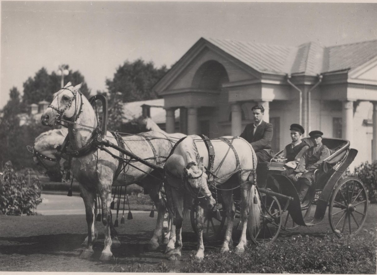 Тройка лошадей 19 век