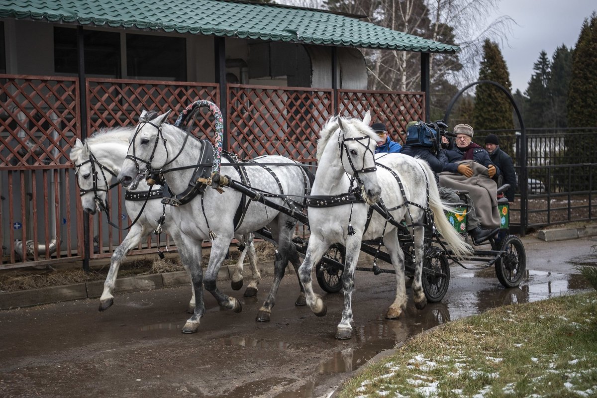 Московский конный завод горки 10
