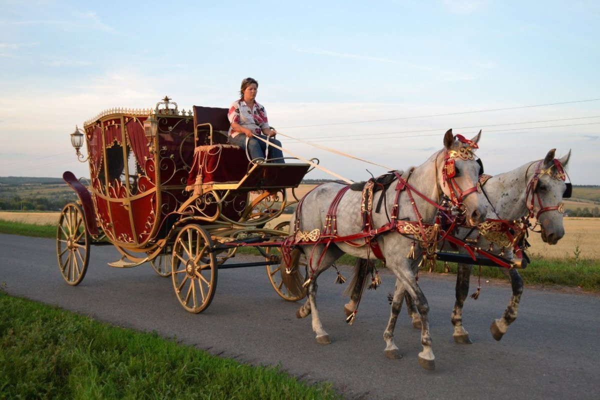 Упряжь Пароконная