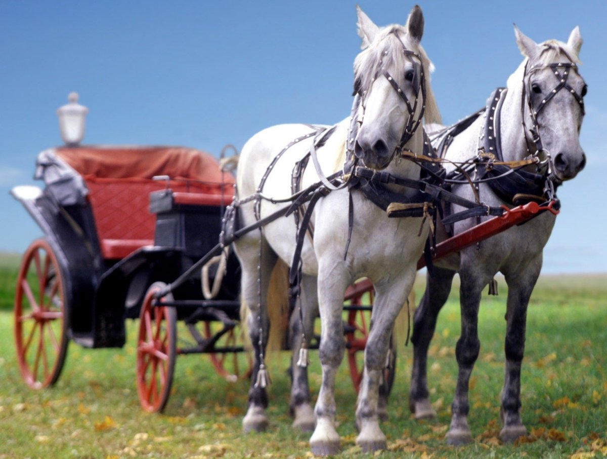 Карета запряженная цугом