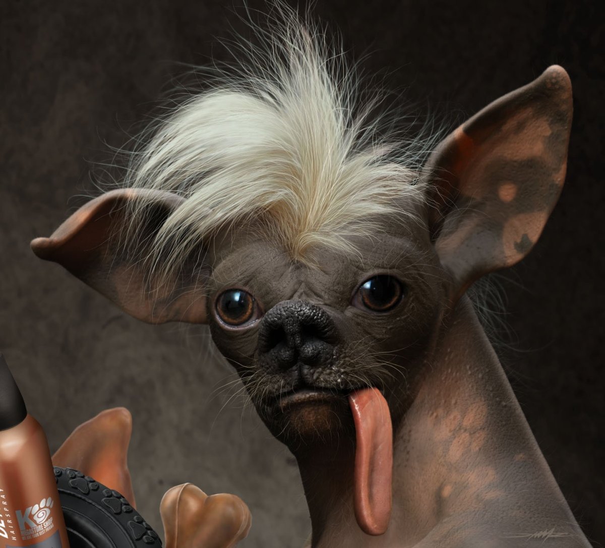 Китайская хохлатая лысая