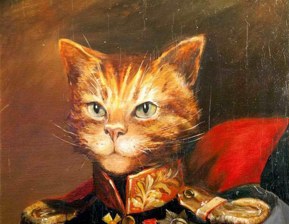 Эльдар Закиров коты Эрмитажа