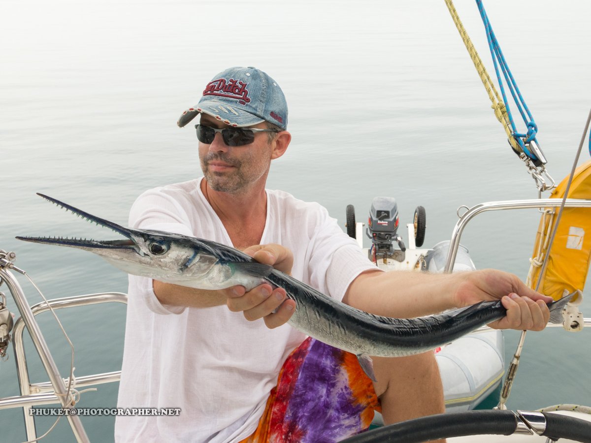 Средиземноморский Сарган