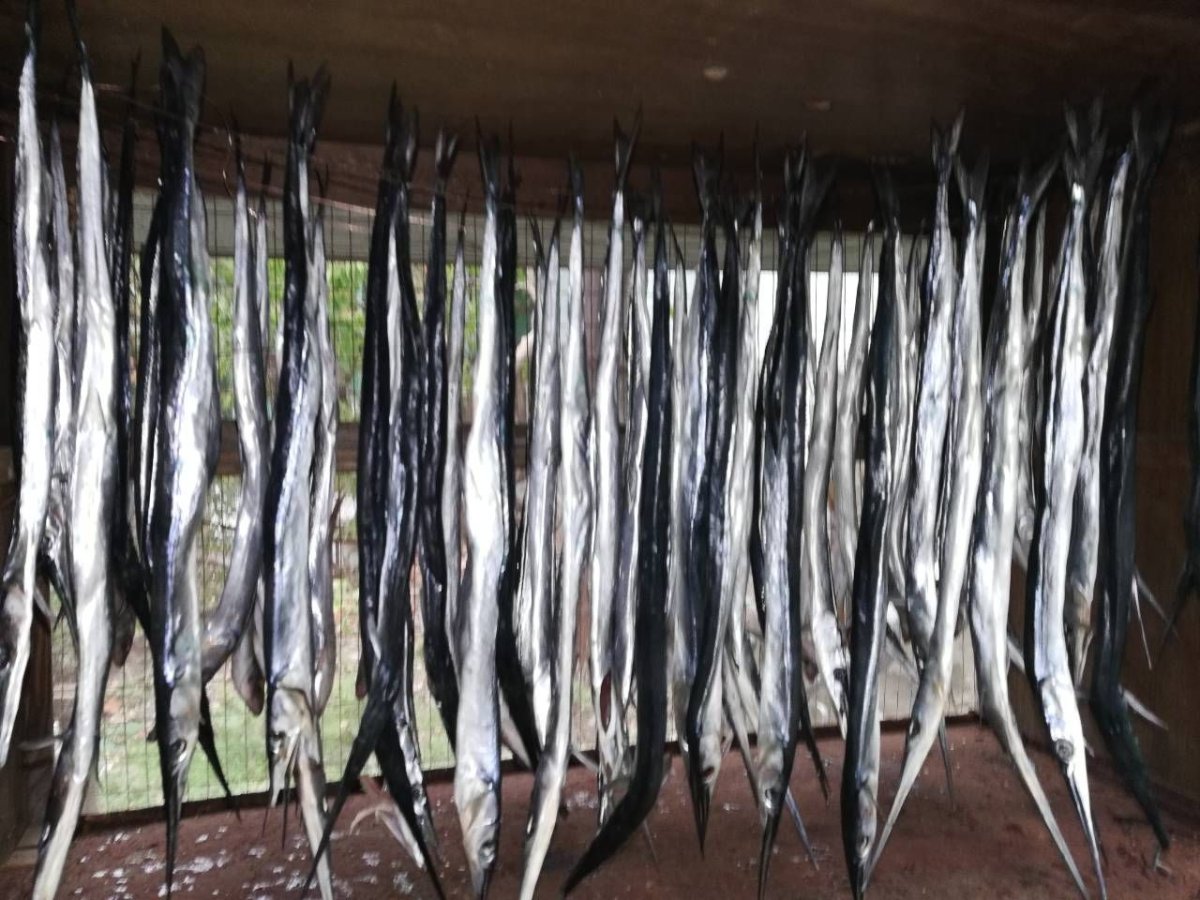 Сарган Черноморский копченый