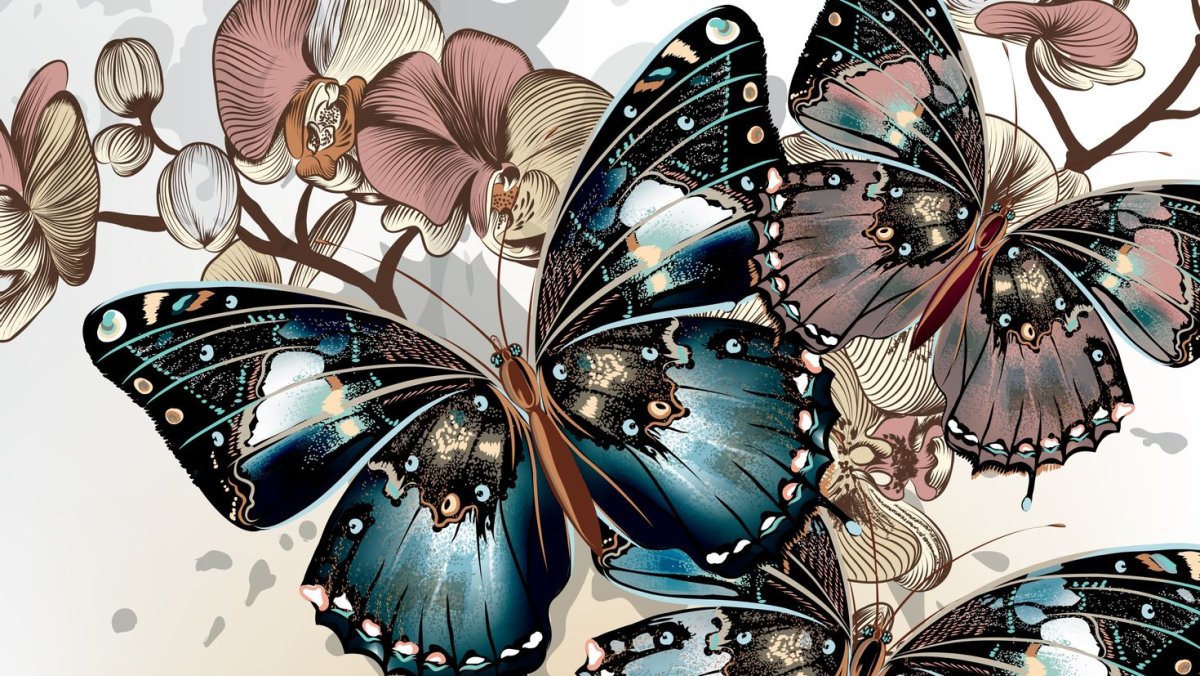 Обложка бабочки