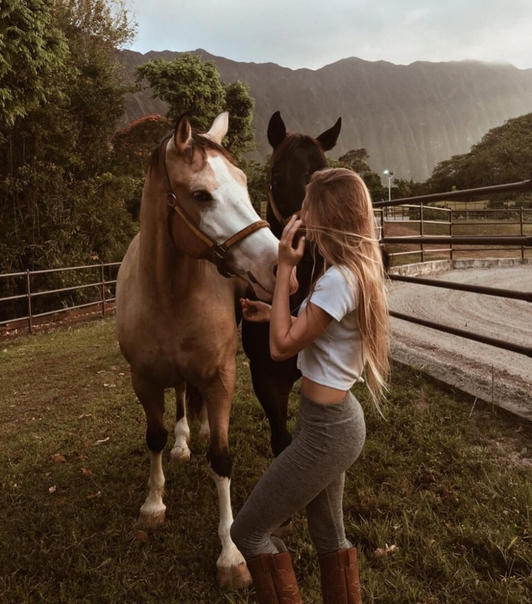 Лошади Эстетика